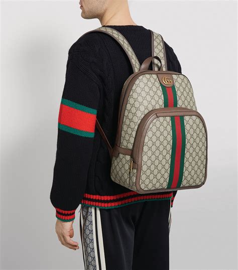 gucci ophidia gg backpack.